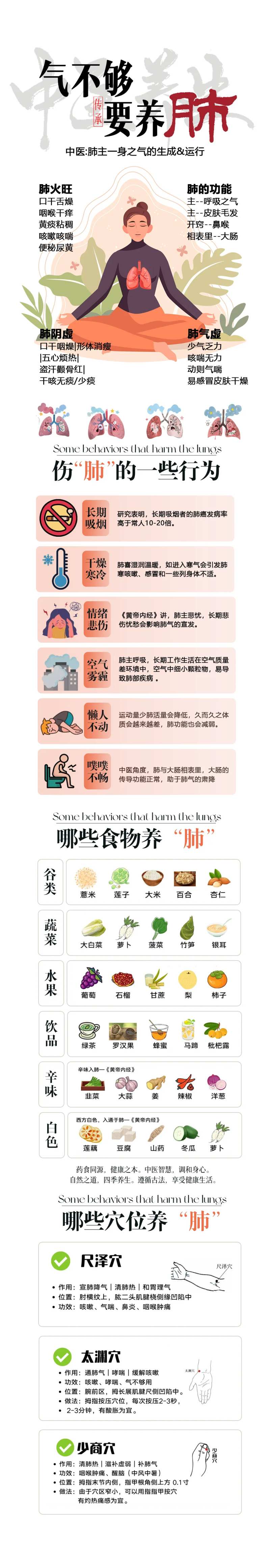 中医养肺长图-采灵感-cailinggan.com