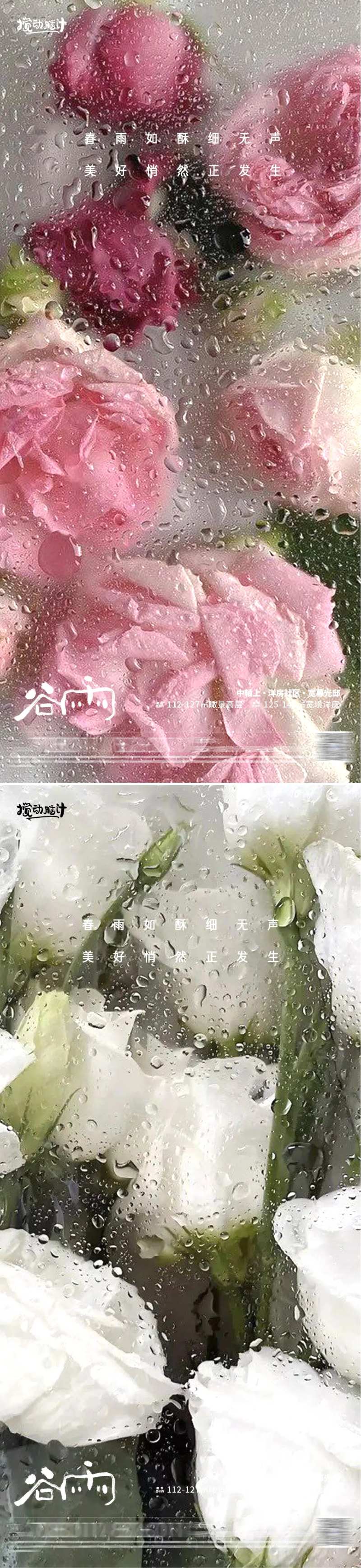 谷雨鲜花海报-采灵感-cailinggan.com