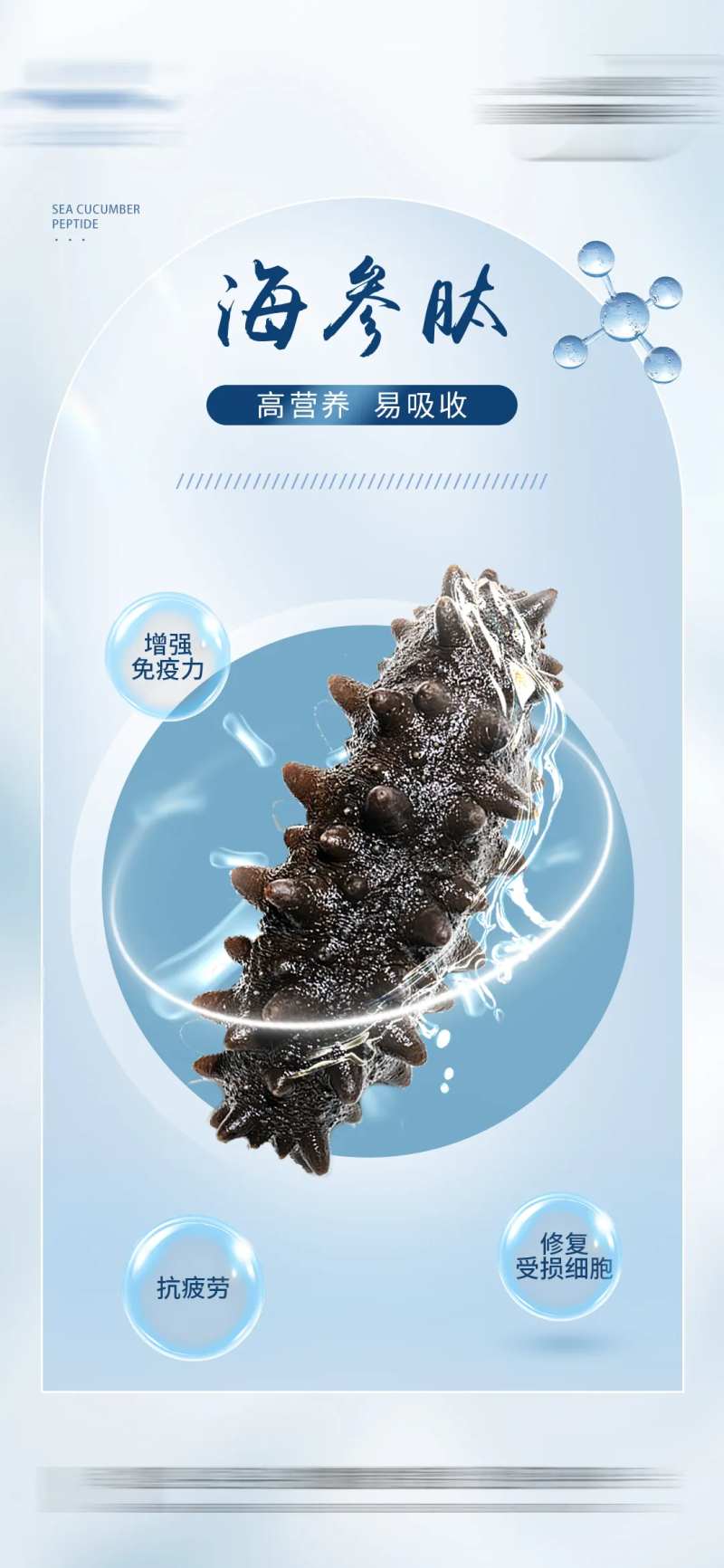 海参海报-采灵感-cailinggan.com