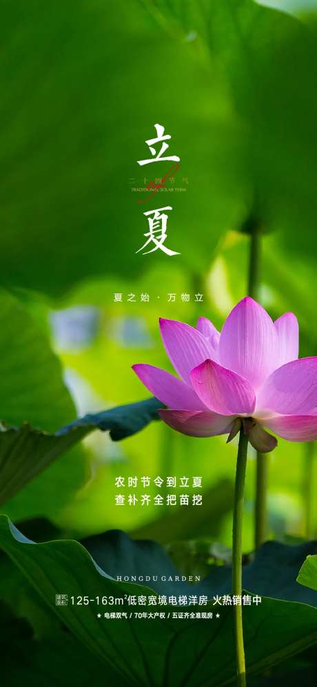 立夏海报-采灵感-https://www.cailinggan.com/