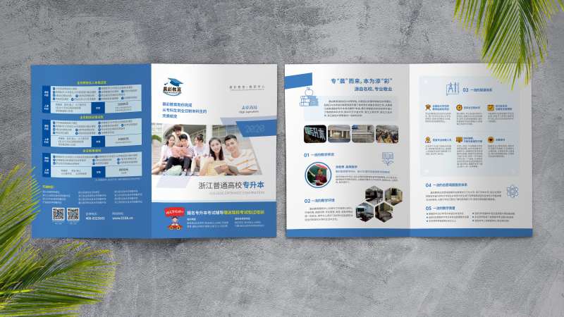 大学生升学教育培训三折页专升本培训-采灵感-cailinggan.com