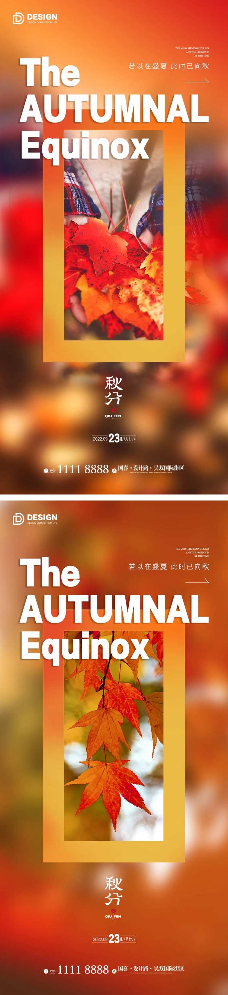 秋分海报 秋天 叶子 二十四节气单图-采灵感-cailinggan.com