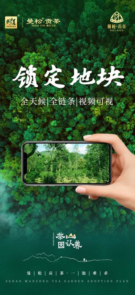 普洱茶春茶森林系列海报-采灵感-https://www.cailinggan.com/