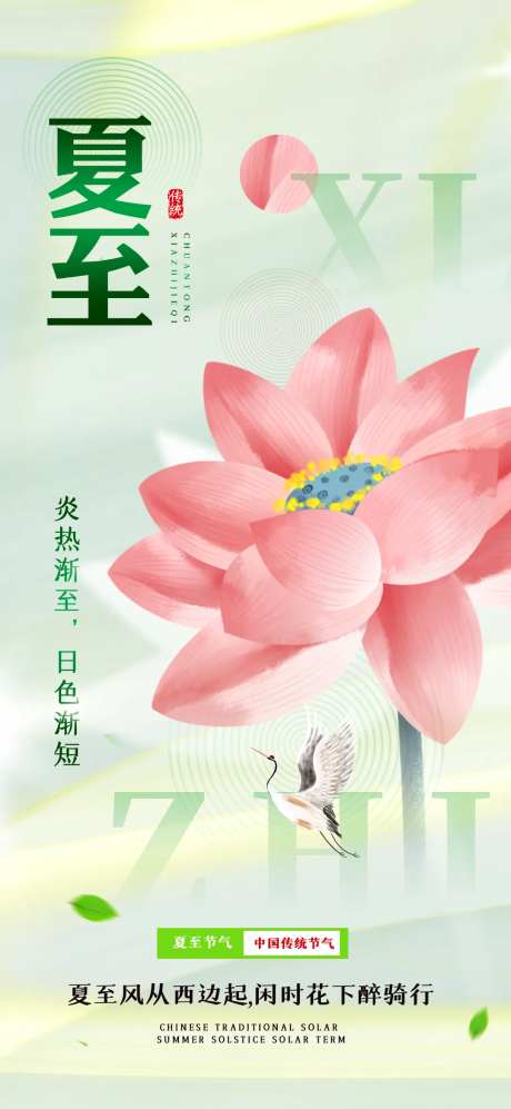 夏至荷花节气海报-采灵感-https://www.cailinggan.com/