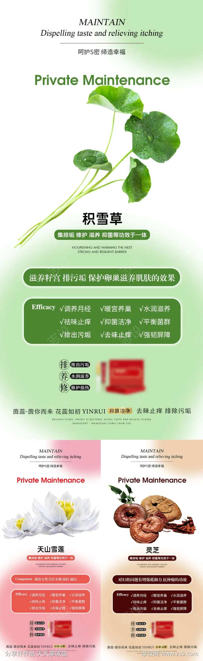 调养养护子宫-采灵感-cailinggan.com