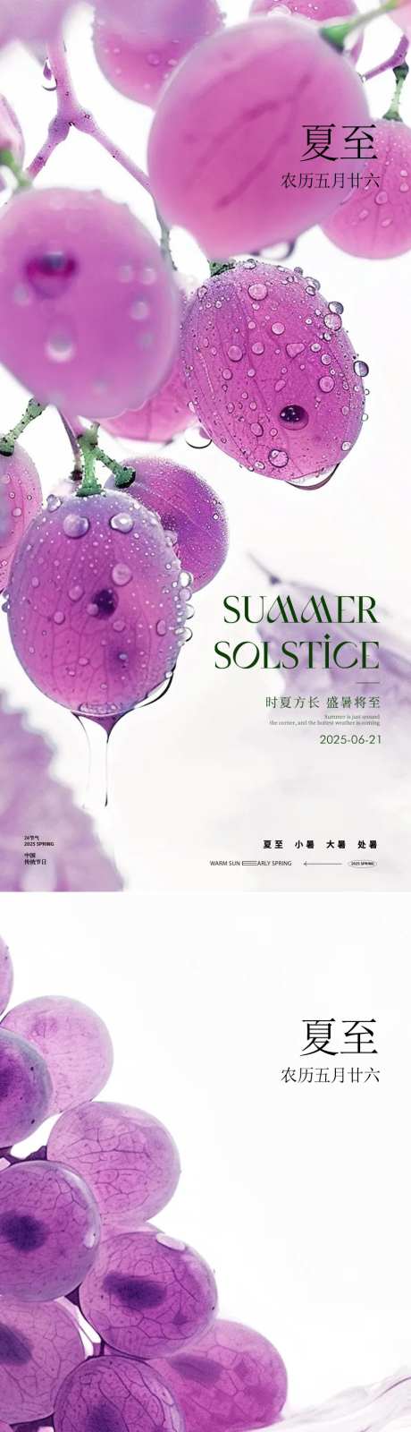 夏至节气果实海报-采灵感-https://www.cailinggan.com/