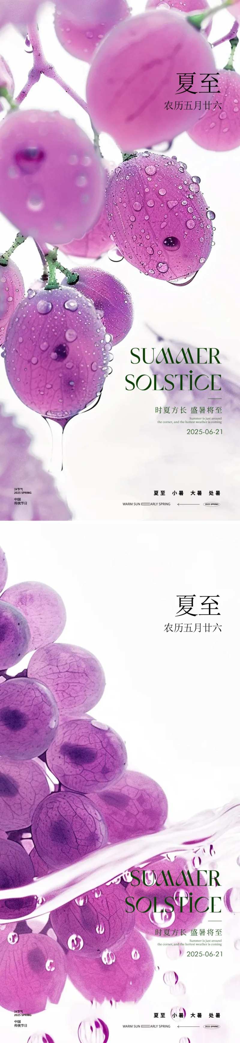 夏至节气果实海报-采灵感-cailinggan.com