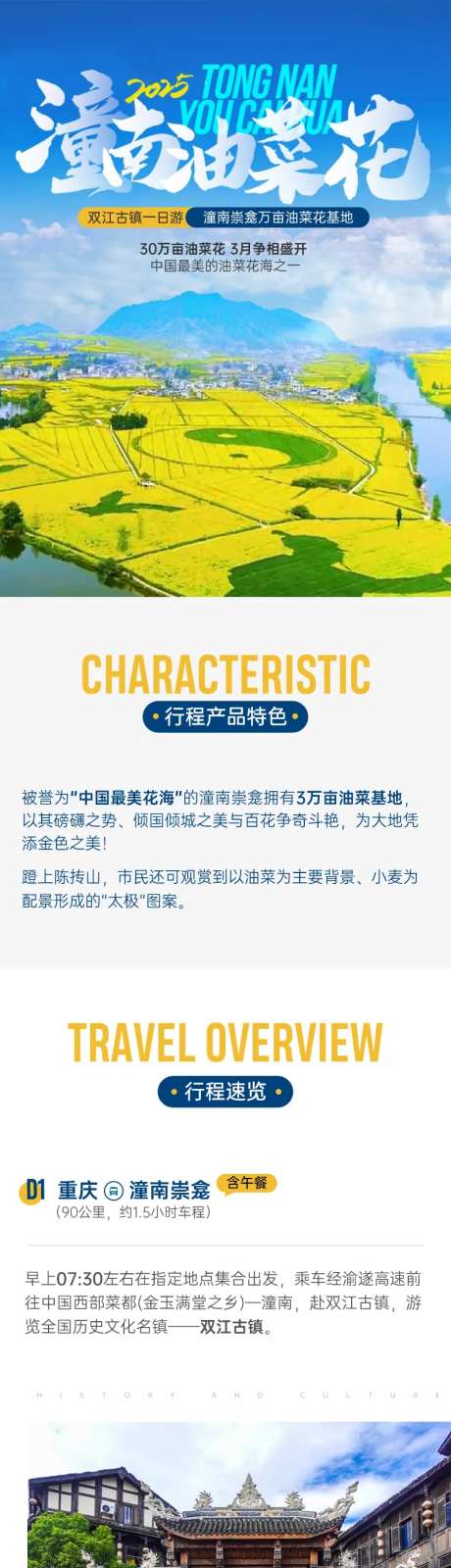 油菜花旅游长图海报-采灵感-https://www.cailinggan.com/