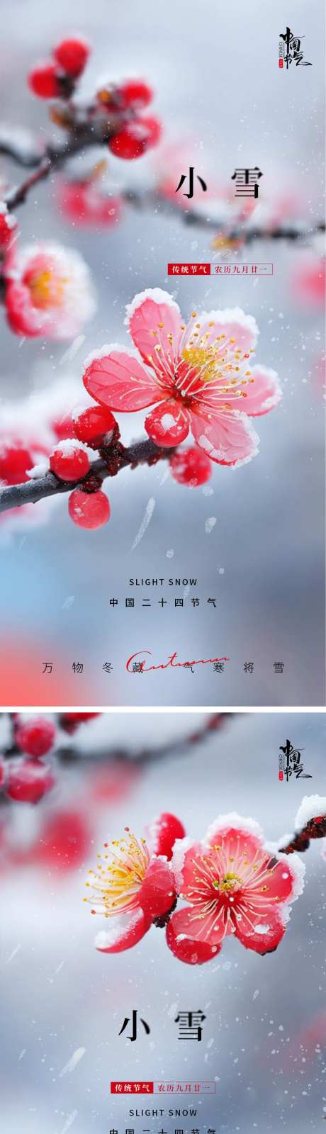 小雪梅花节气海报-采灵感-https://www.cailinggan.com/