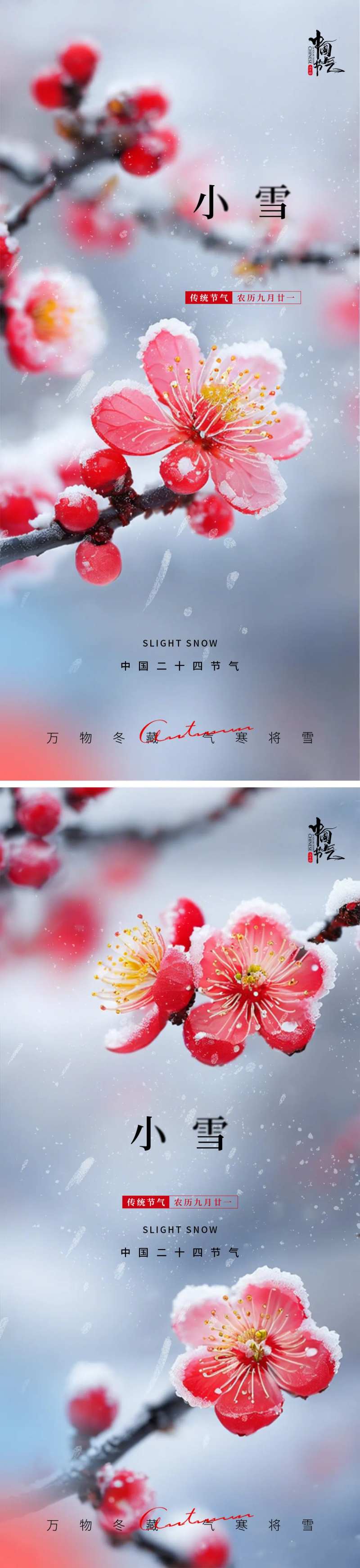 小雪梅花节气海报-采灵感-cailinggan.com