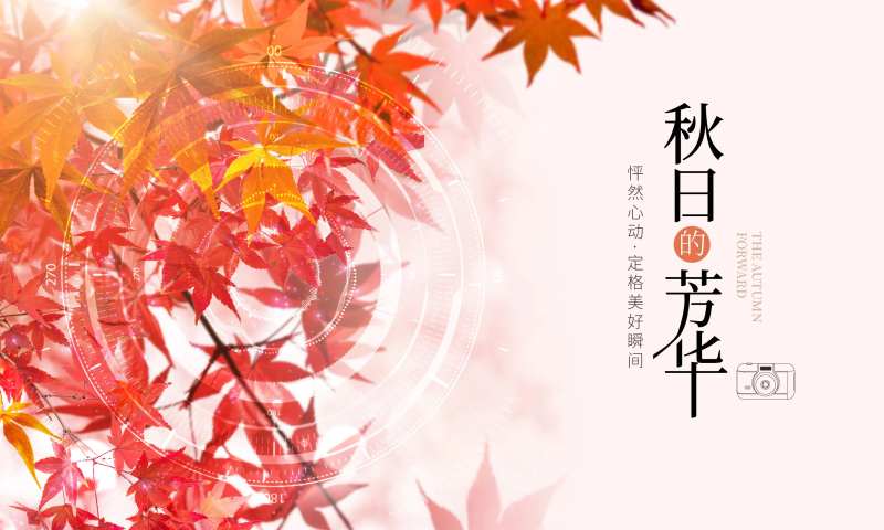 秋季摄影展-采灵感-cailinggan.com