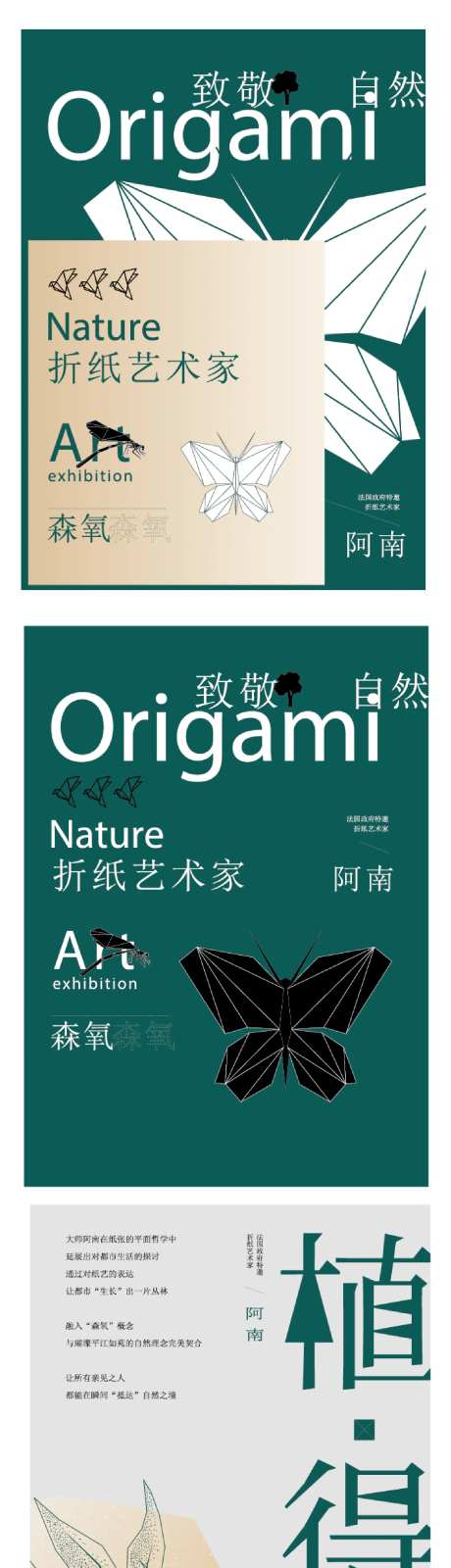 折纸艺术蝴蝶标本活动自然课本-采灵感-https://www.cailinggan.com/