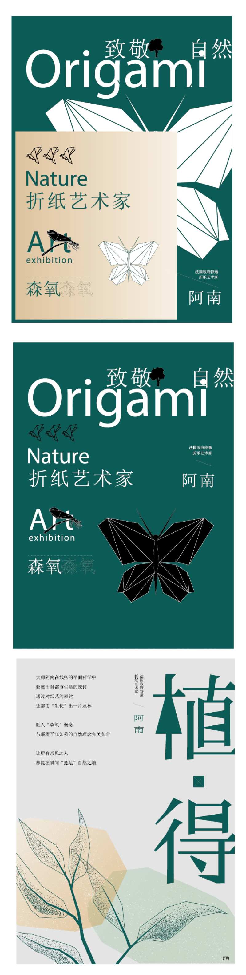 折纸艺术蝴蝶标本活动自然课本-采灵感-cailinggan.com