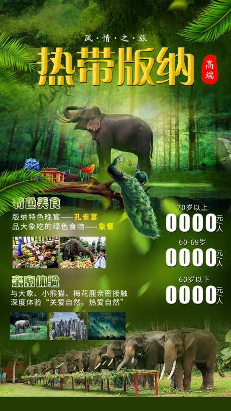 热带西双版纳旅游海报-采灵感-https://www.cailinggan.com/