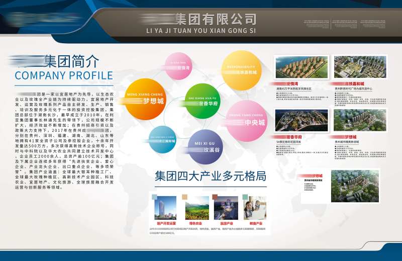 集团公司文化墙背景板-采灵感-cailinggan.com