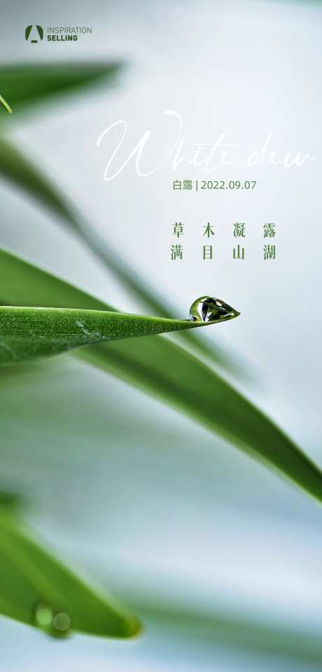 地产白露微信海报-采灵感-cailinggan.com