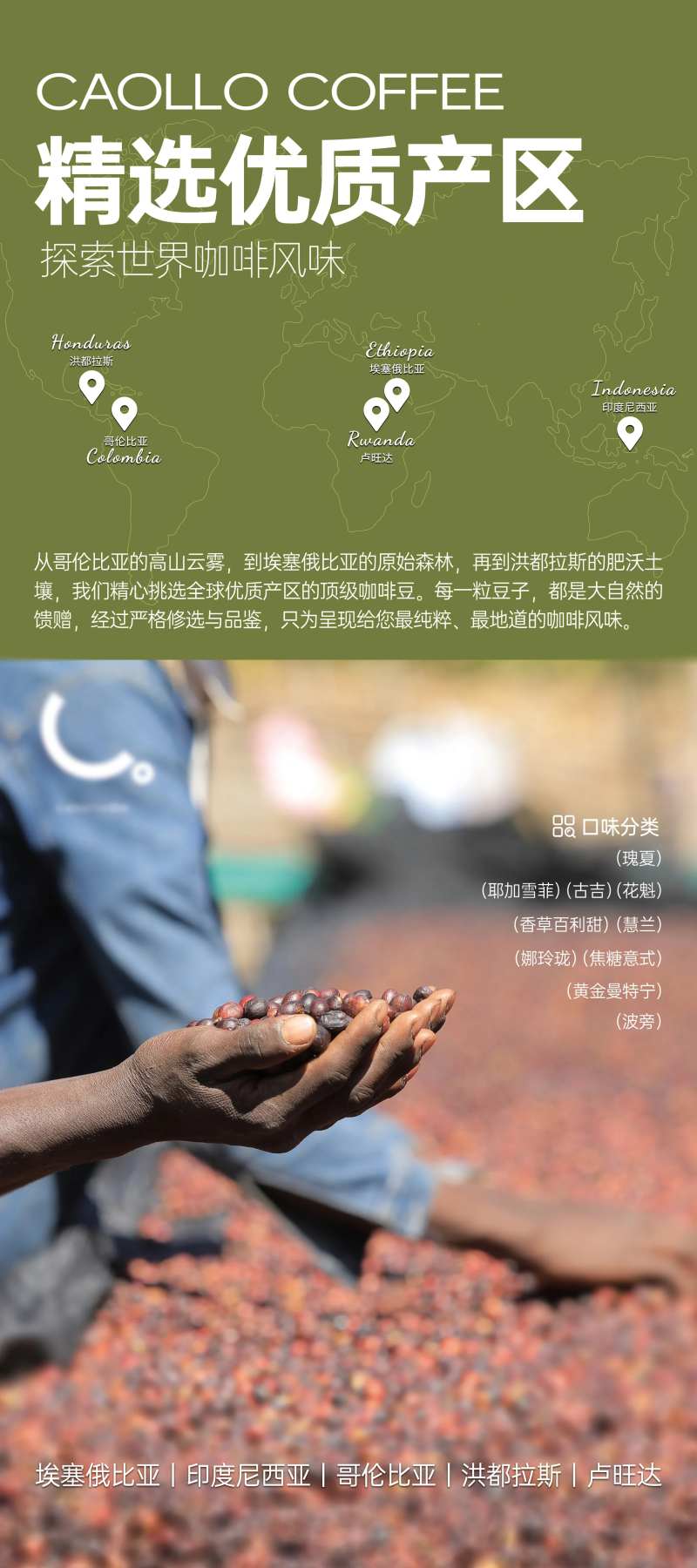 咖啡豆产地海报-采灵感-cailinggan.com