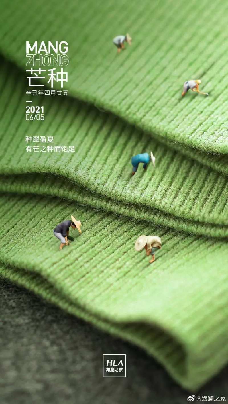 芒种24节气毛衣海报-采灵感-cailinggan.com