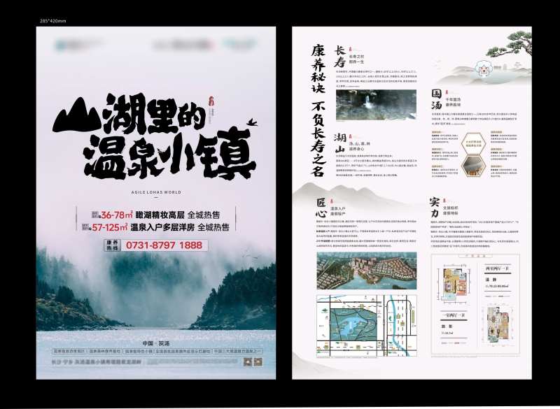 地产温泉文旅DM宣传单-采灵感-cailinggan.com