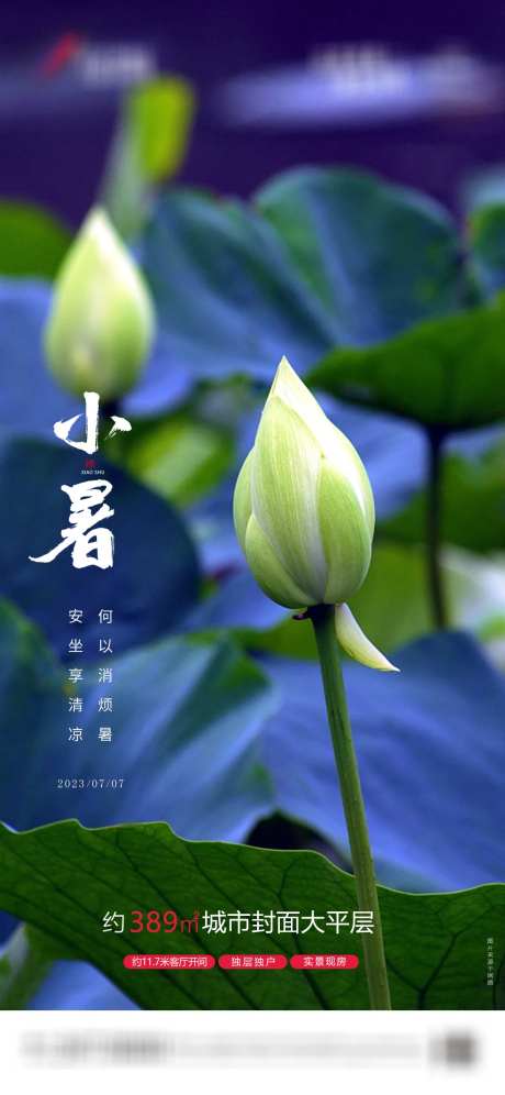 小暑价值节点微信海报-采灵感-https://www.cailinggan.com/