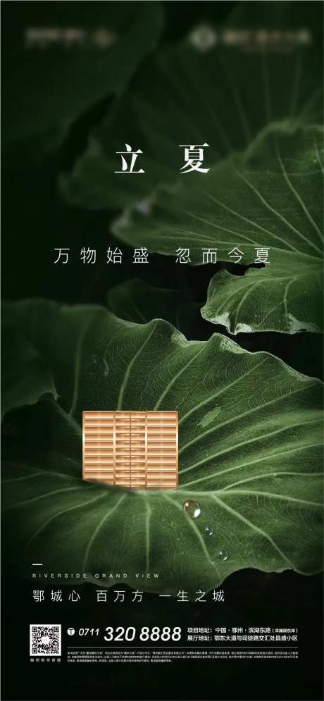 立夏荷花地产海报-采灵感-https://www.cailinggan.com/
