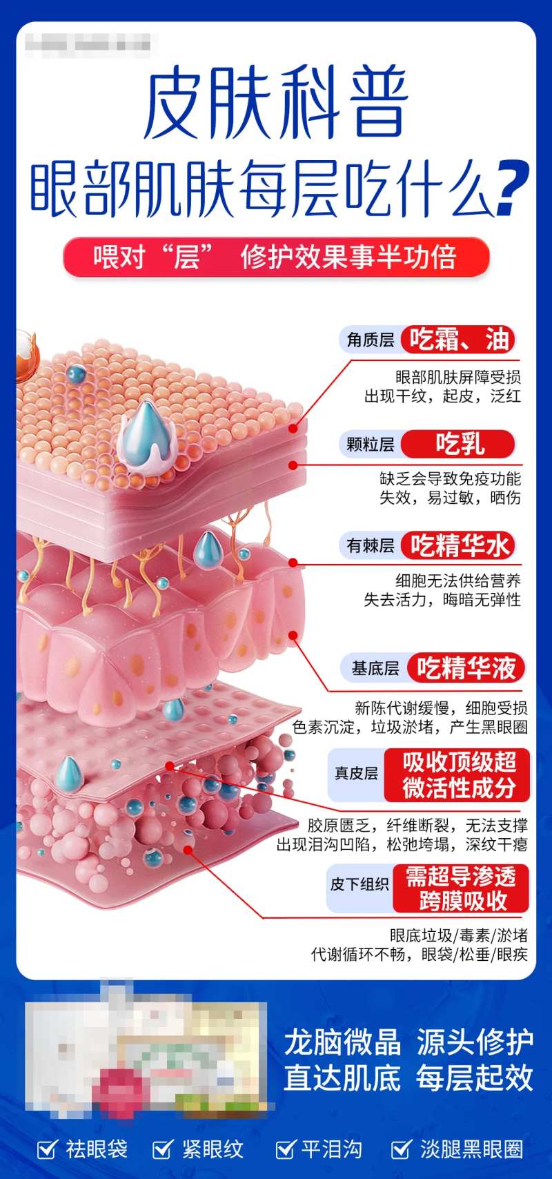 皮肤科普海报-采灵感-cailinggan.com