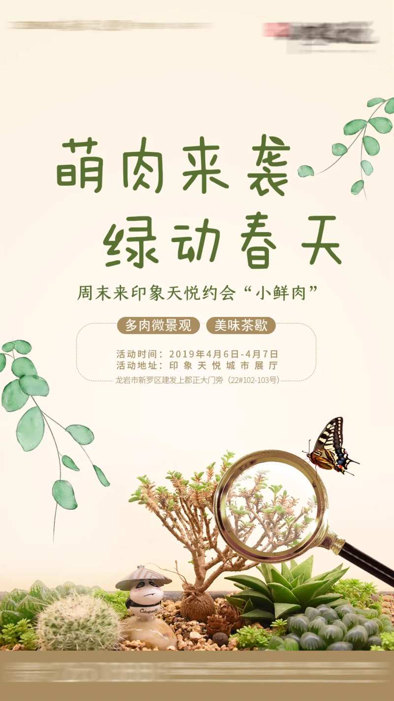 多肉DIY暖场活动海报-采灵感-cailinggan.com