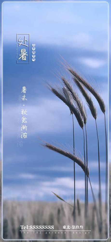 处暑-采灵感-cailinggan.com