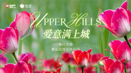 春天郁金香活动海报-采灵感-https://www.cailinggan.com/