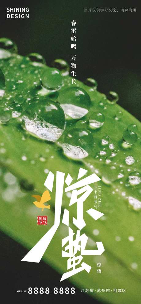 叶子雨水惊蛰节气海报-采灵感-https://www.cailinggan.com/