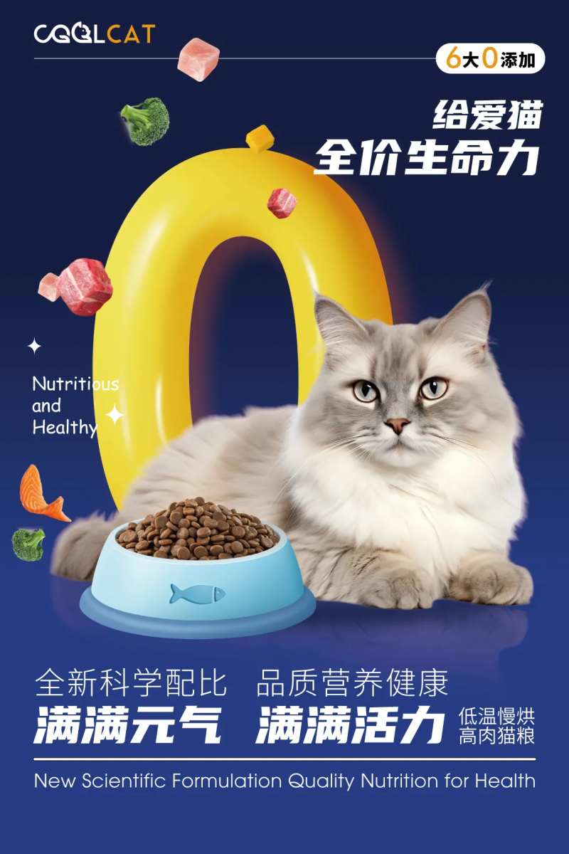 宠物粮海报-采灵感-cailinggan.com