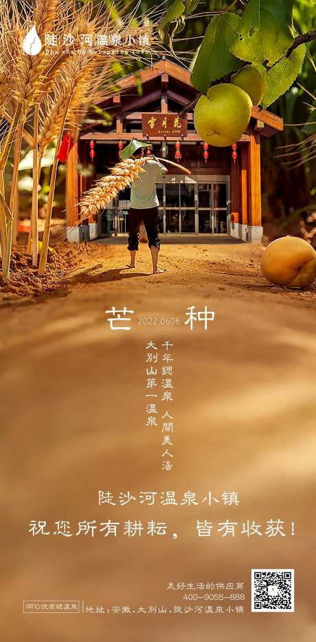 芒种海报 -采灵感-https://www.cailinggan.com/