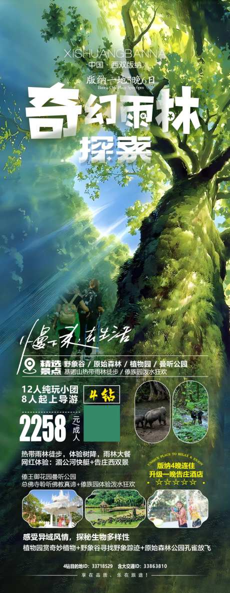 奇幻雨林探索海报-采灵感-https://www.cailinggan.com/