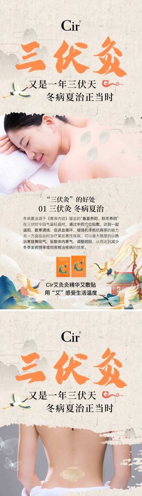 三伏灸产品系列海报-采灵感-https://www.cailinggan.com/