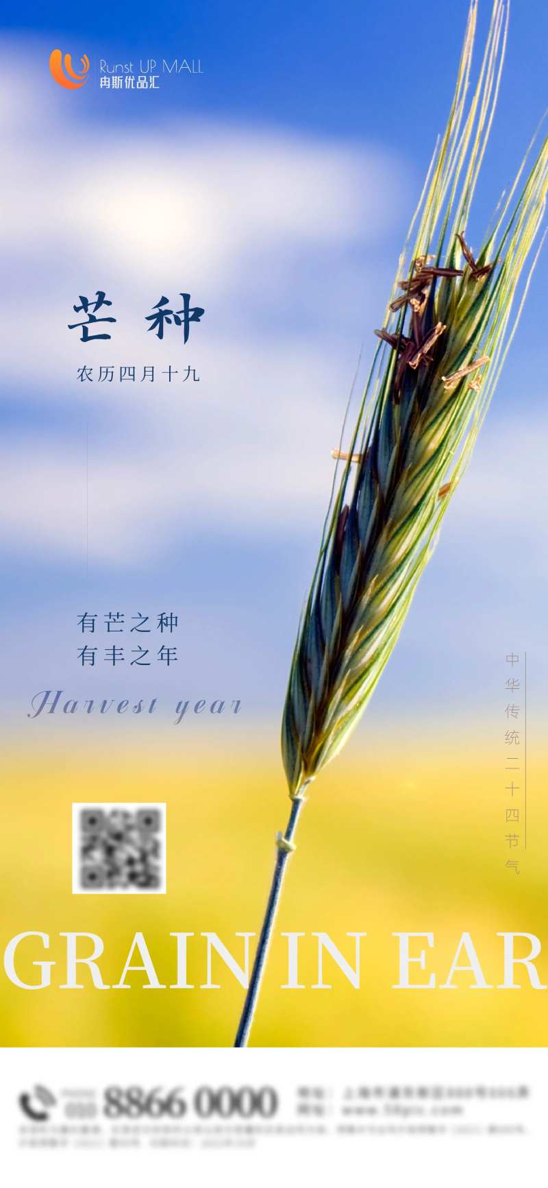 二十四节气芒种海报-采灵感-cailinggan.com
