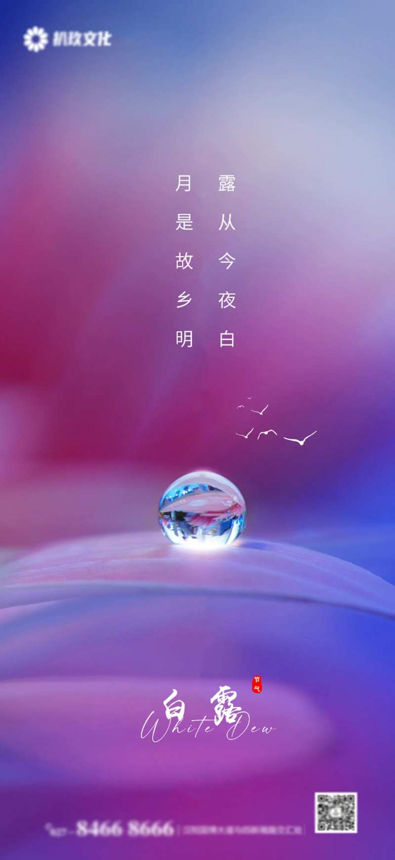 二十四节日节气白露霜降寒露-采灵感-cailinggan.com