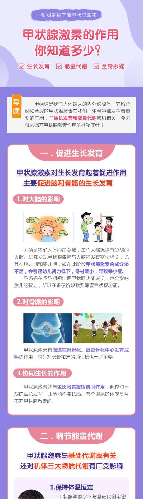 甲状腺激素海报-采灵感-https://www.cailinggan.com/