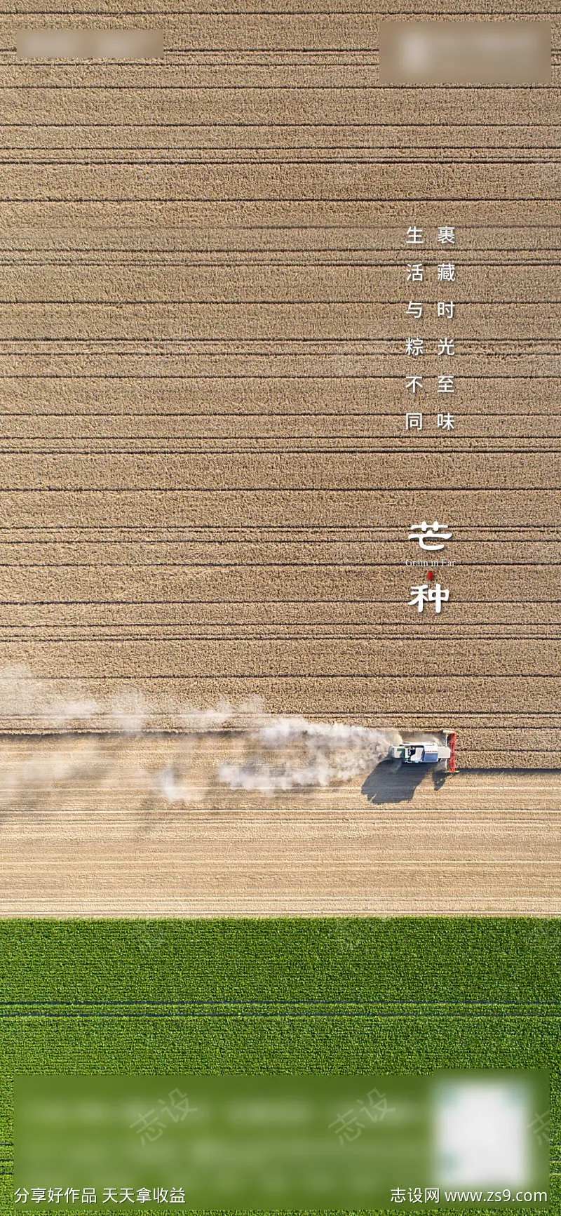 芒种节气海报拖拉机田野丰收-采灵感-cailinggan.com