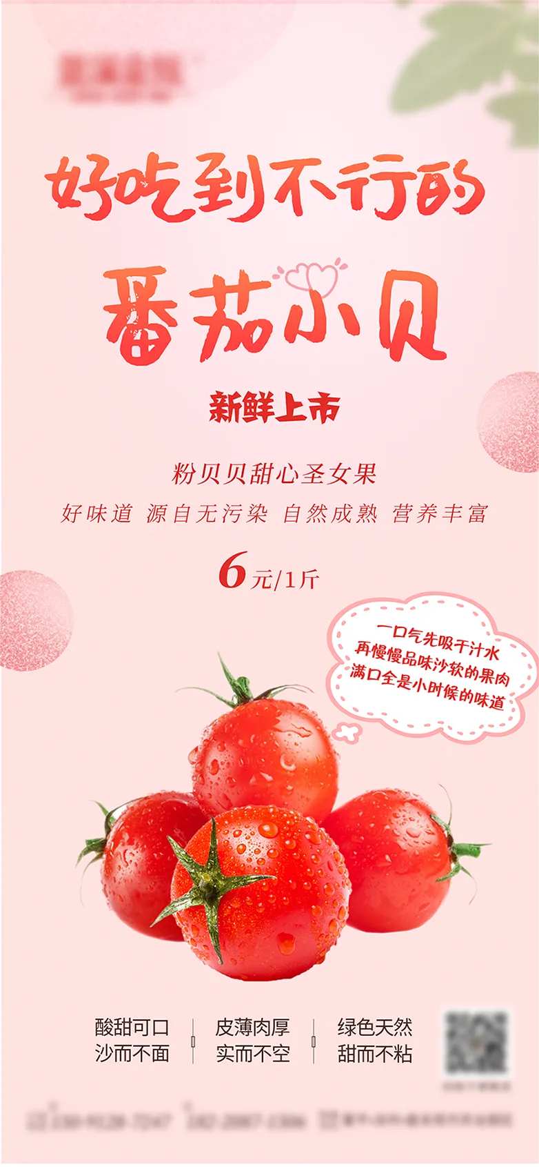 粉色新鲜圣女果-采灵感-cailinggan.com