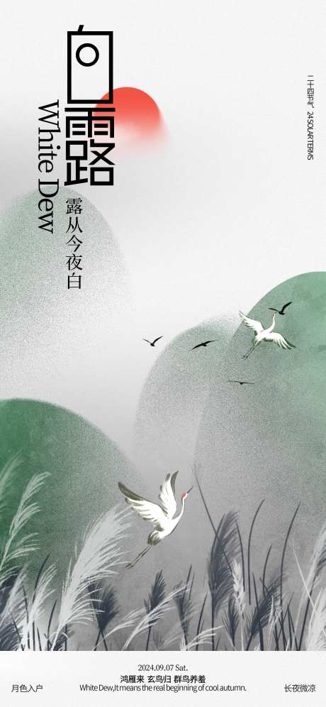 白露节气芦苇海报-采灵感-https://www.cailinggan.com/