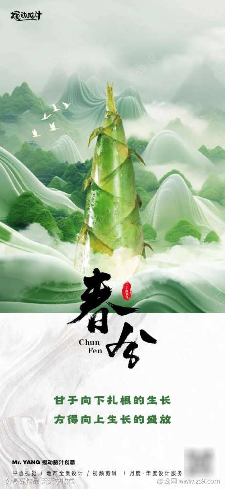 春笋春分节气海报-采灵感-https://www.cailinggan.com/
