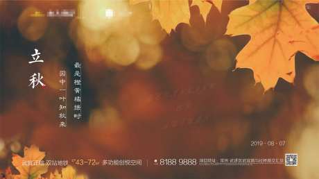 立秋节气枫叶微信海报-采灵感-https://www.cailinggan.com/