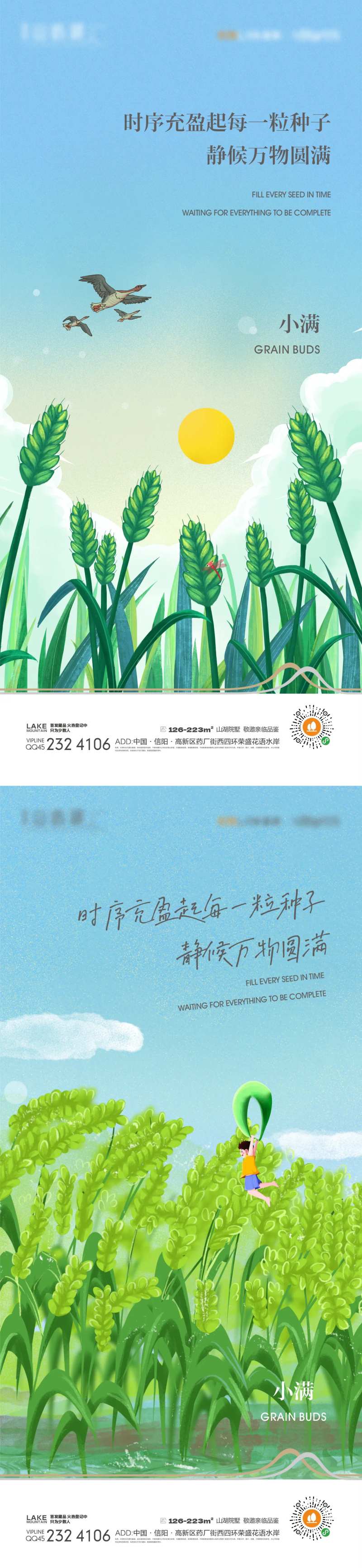 小满插画-采灵感-cailinggan.com