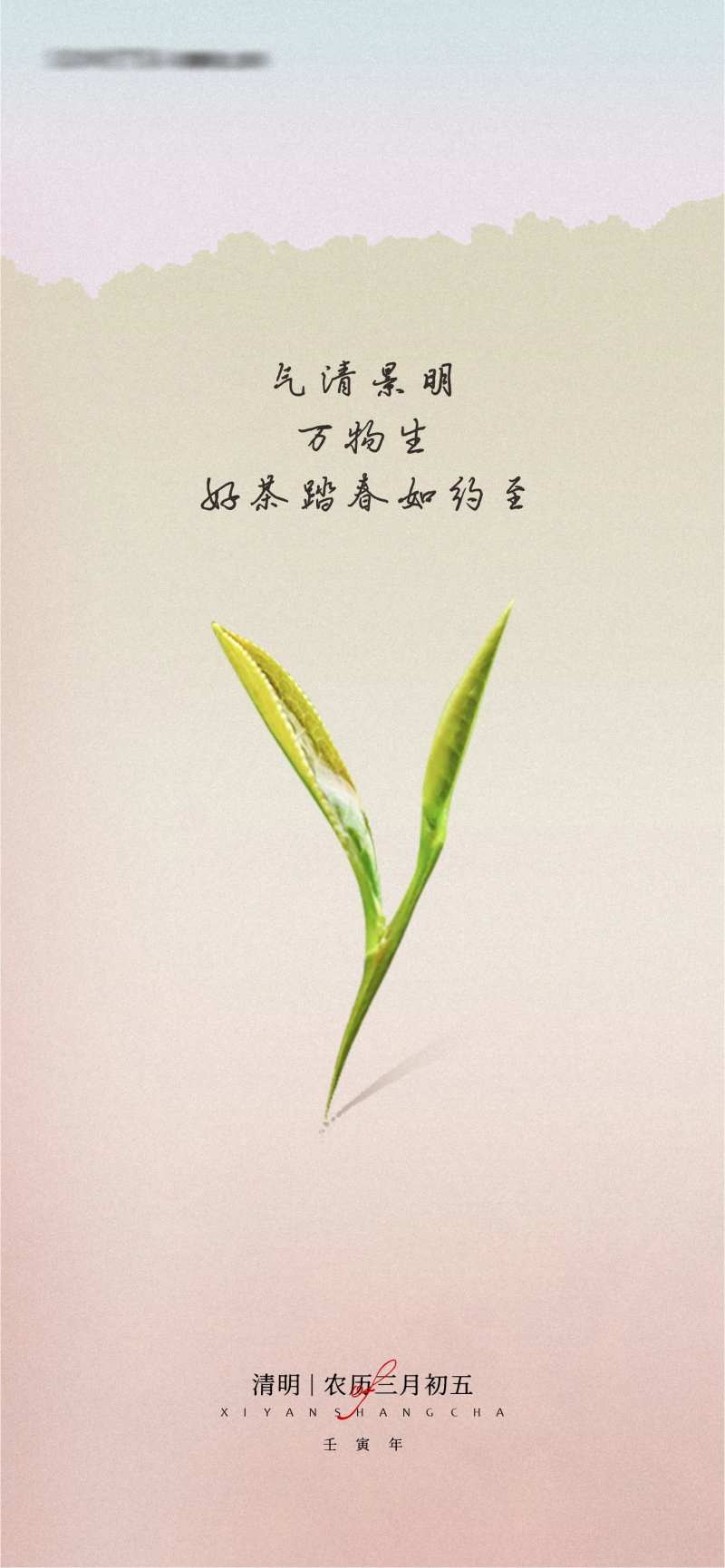 春天清明节海报-采灵感-cailinggan.com