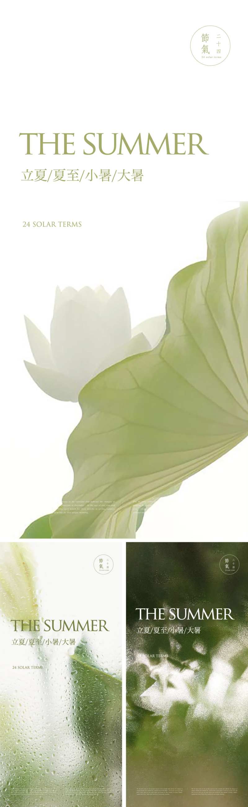 夏日意境荷花节气海报-采灵感-cailinggan.com