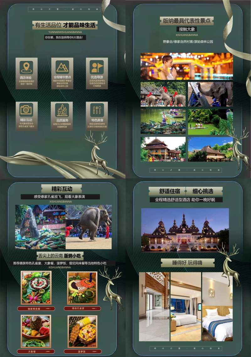 版纳宣传图H5海报-采灵感-cailinggan.com