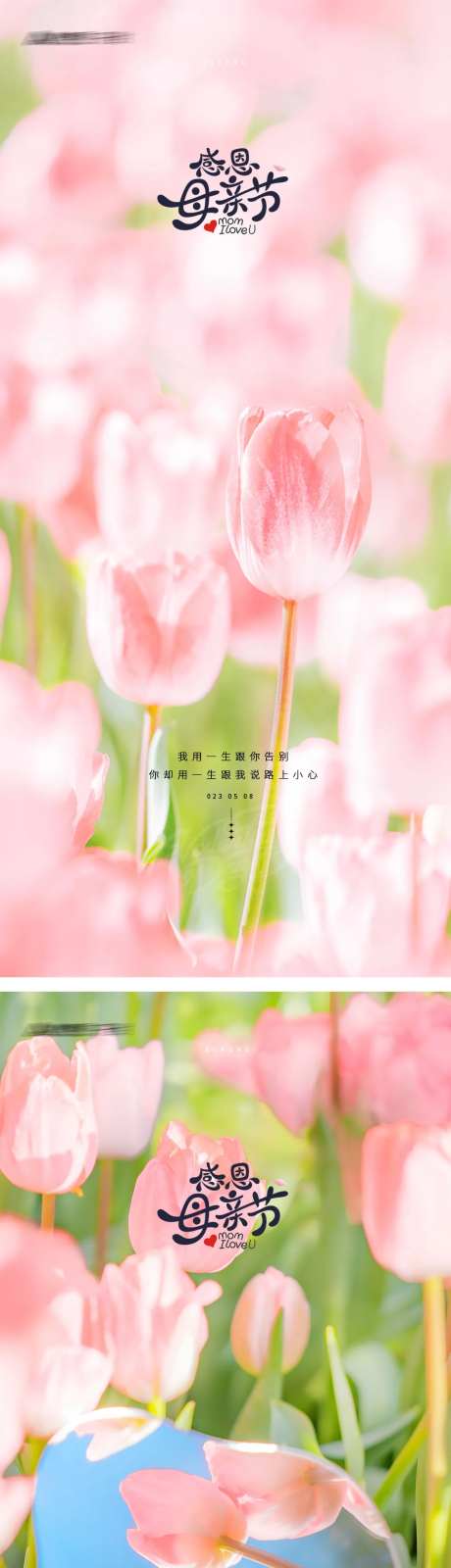 母亲节康乃馨海报-采灵感-https://www.cailinggan.com/