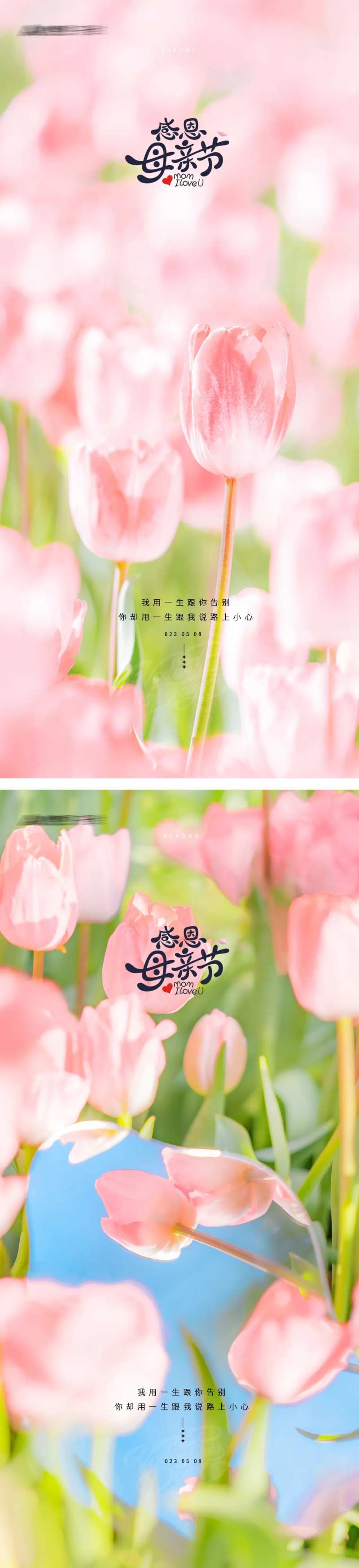 母亲节康乃馨海报-采灵感-cailinggan.com