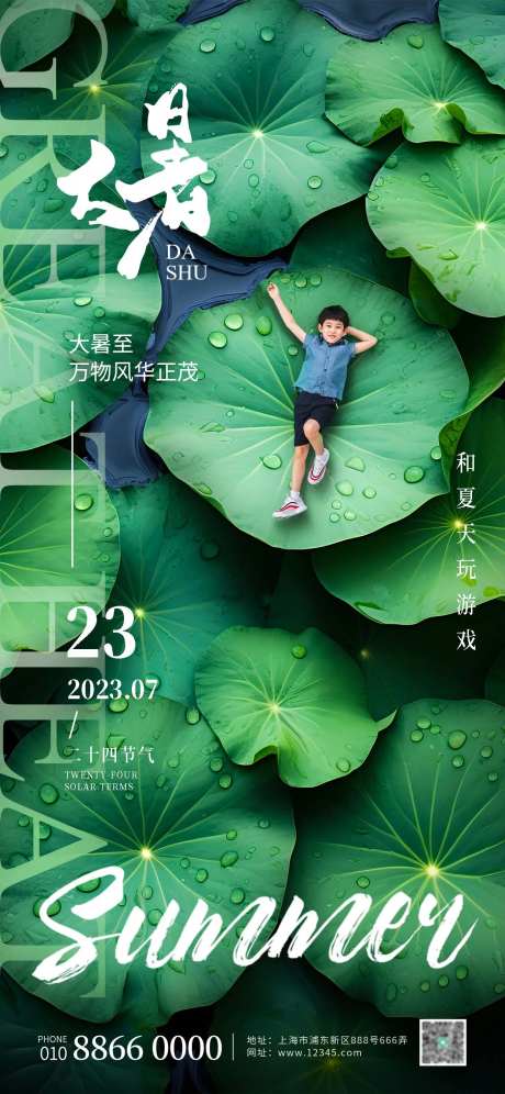 大暑荷叶海报-采灵感-https://www.cailinggan.com/