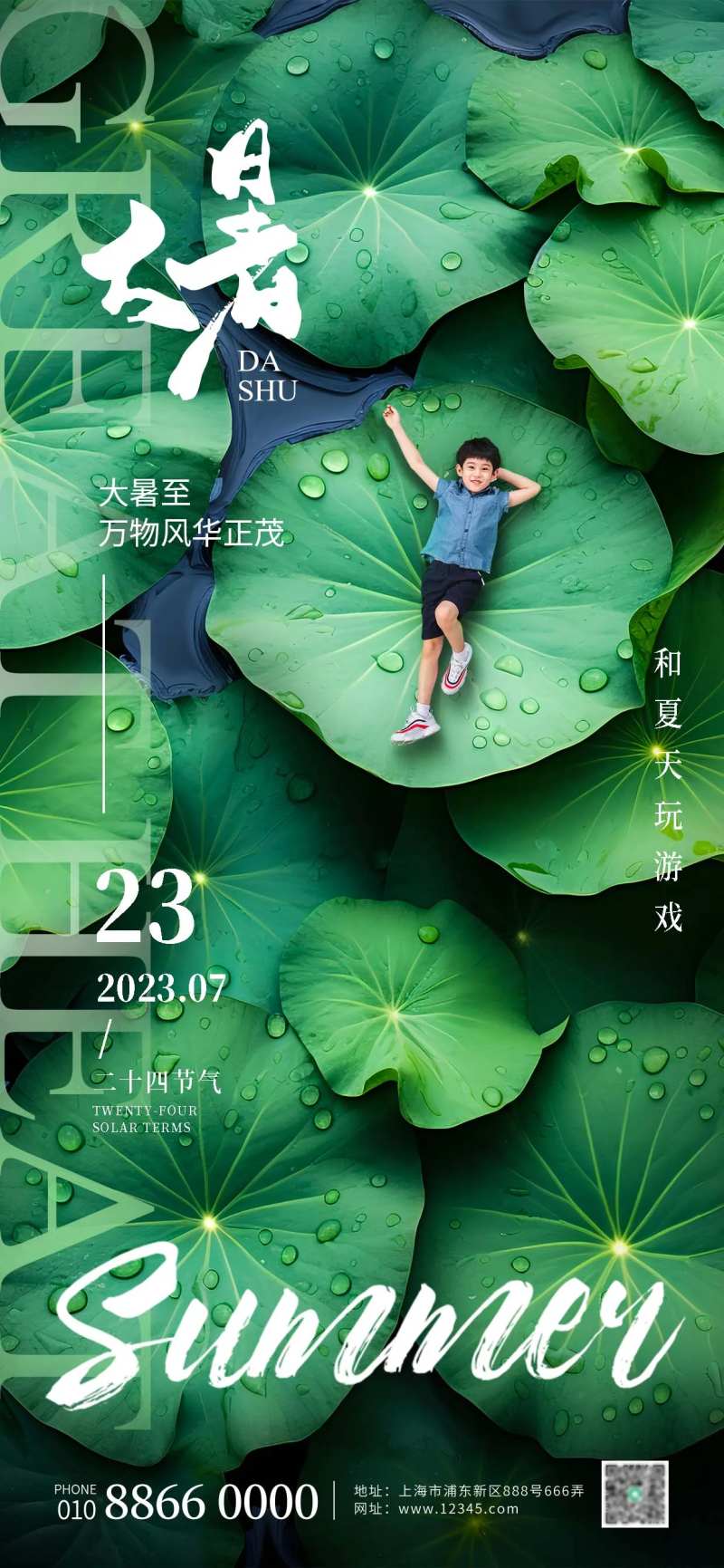 大暑荷叶海报-采灵感-cailinggan.com